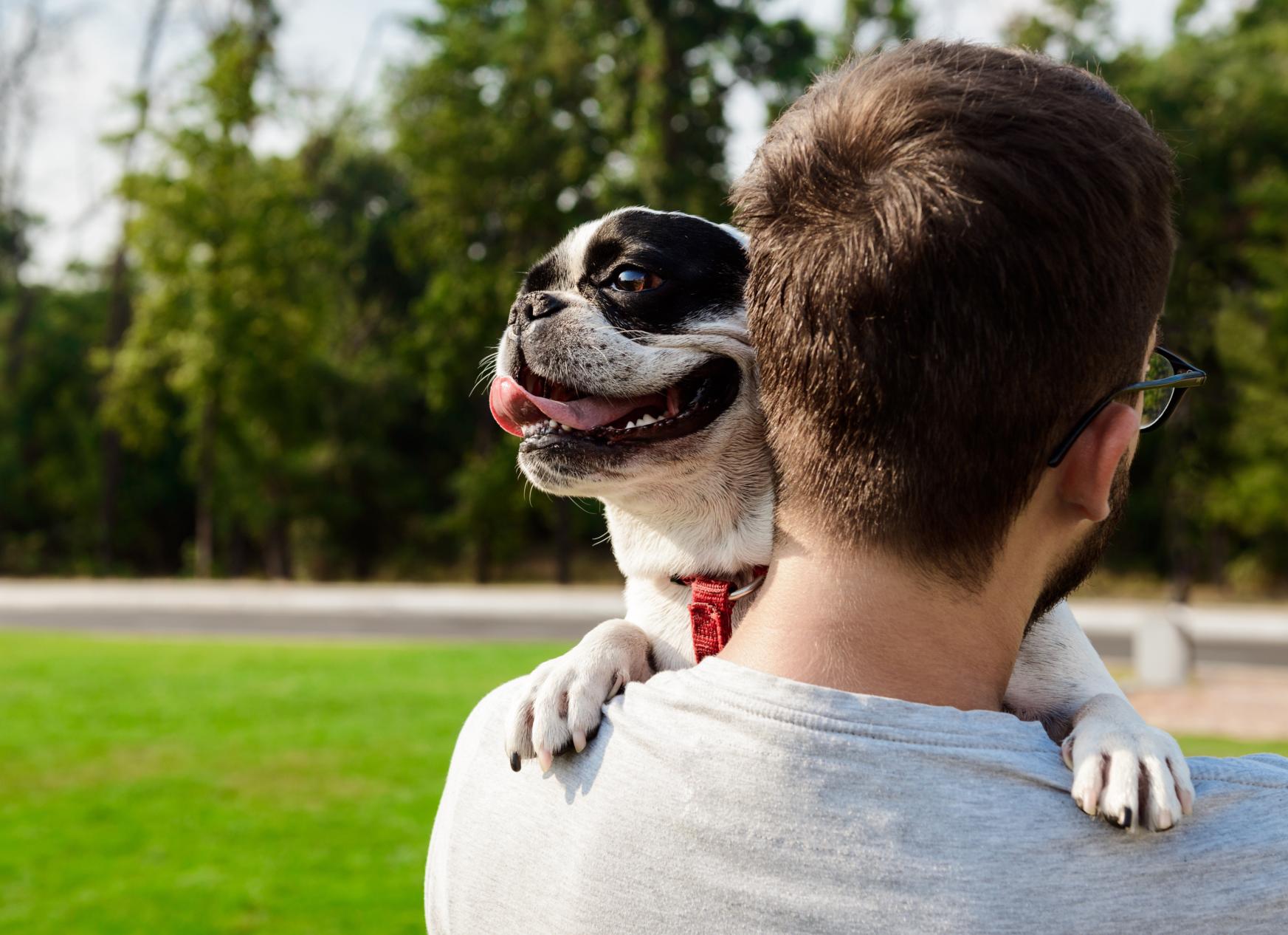 Более 2 000 человек решились взять животных из приютов благодаря социальному проекту на Авито